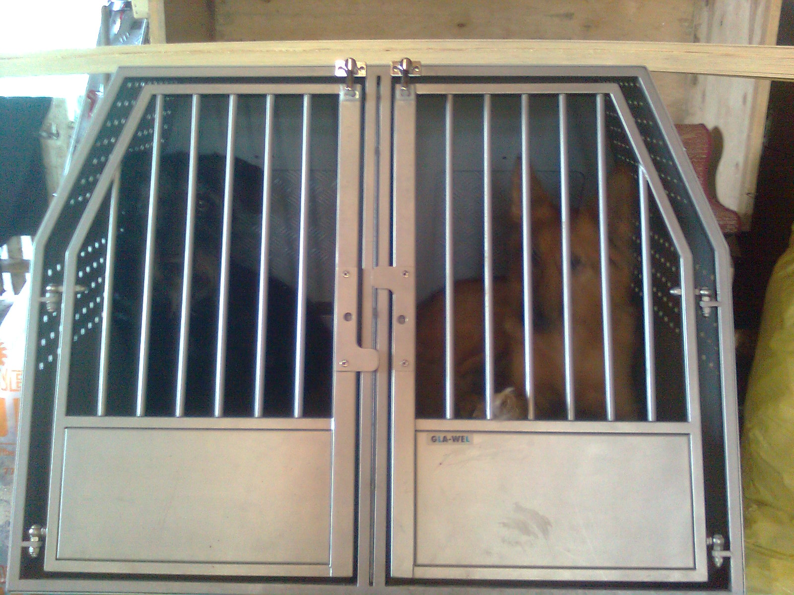 Probesitzen in Hundebox von GLA-WEL, Harzer Fuchs & Riesenschnauzer, 22.02.2020